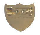 Oval Brooch